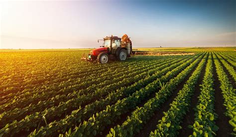 10 Interesting Jobs In The Agriculture Sector And Universities That