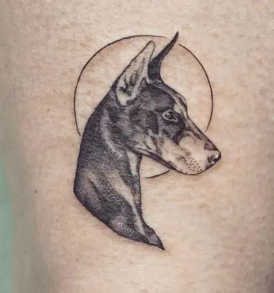 10 New Doberman Tattoo Ideas For Man Women Tattoo Twist