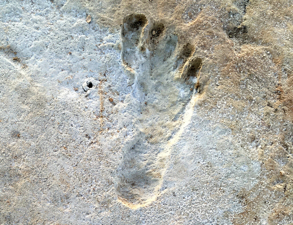 12 000 Year Old Human Footprints Found In New Mexico Archaeology