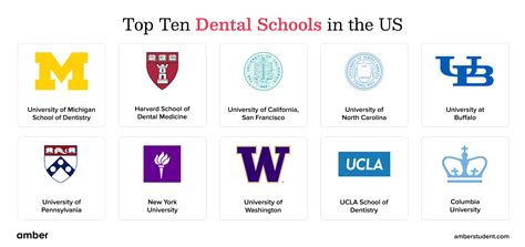 15 Best Dental Schools In The U S 2024 College Transitions