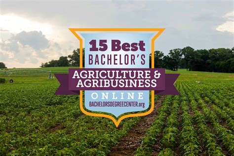 15 Best Online Bachelor S In Agriculture And Agribusiness