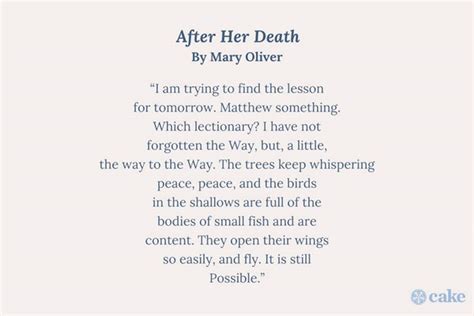 15 Mary Oliver Poems About Death Grief Loss Cake Blog