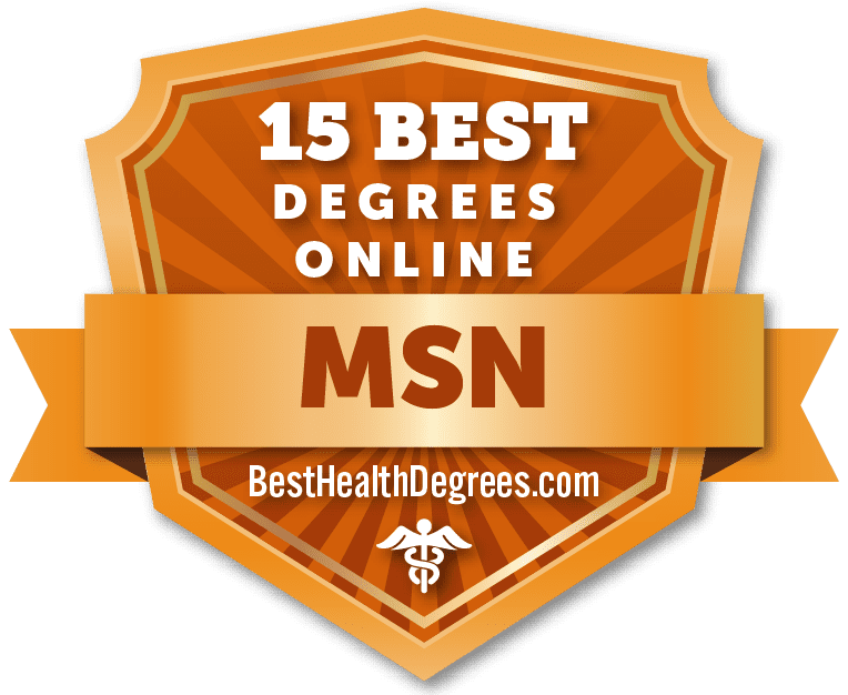 15 Top Online Msn Programs The Best Health Degrees