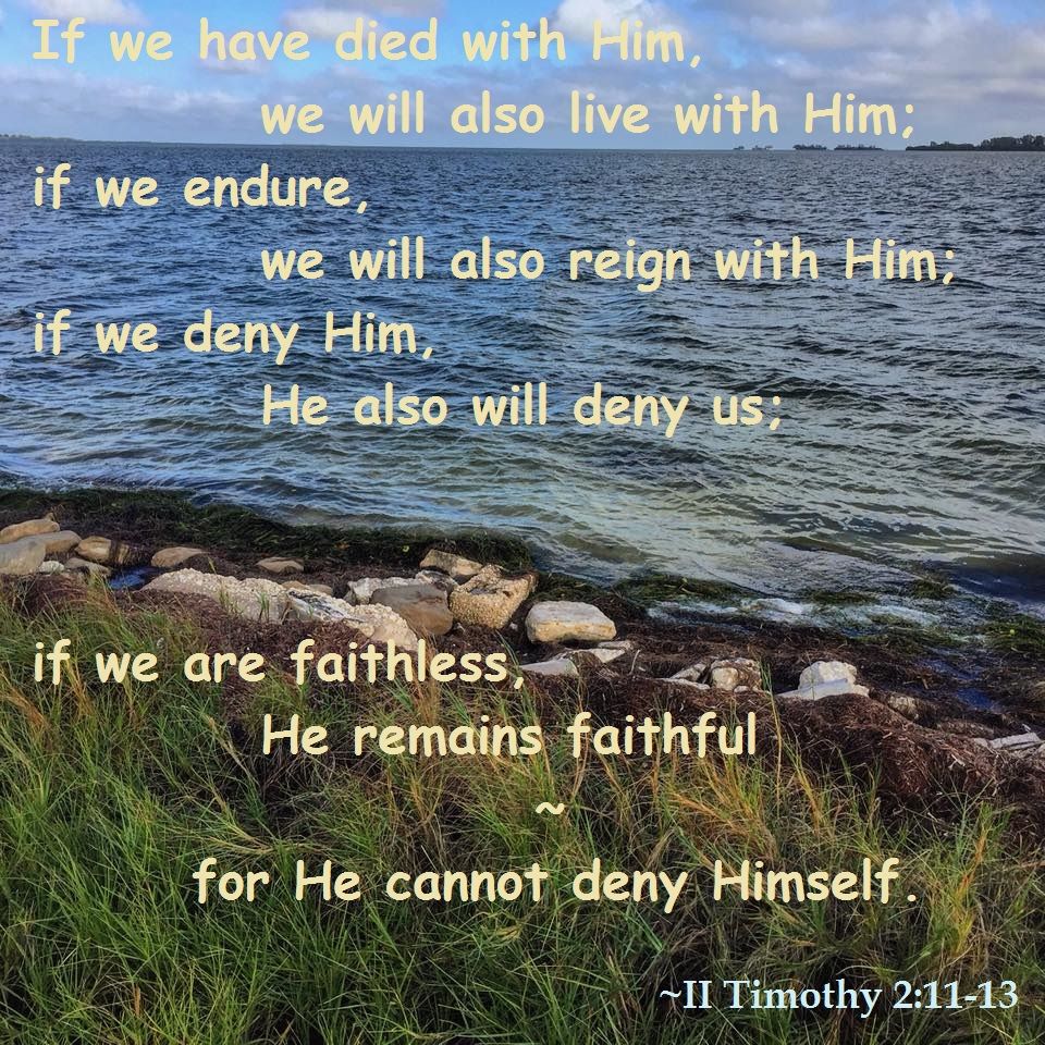 2 Timothy 2 12 If We Endure We Will Also Reign With Him If We Deny