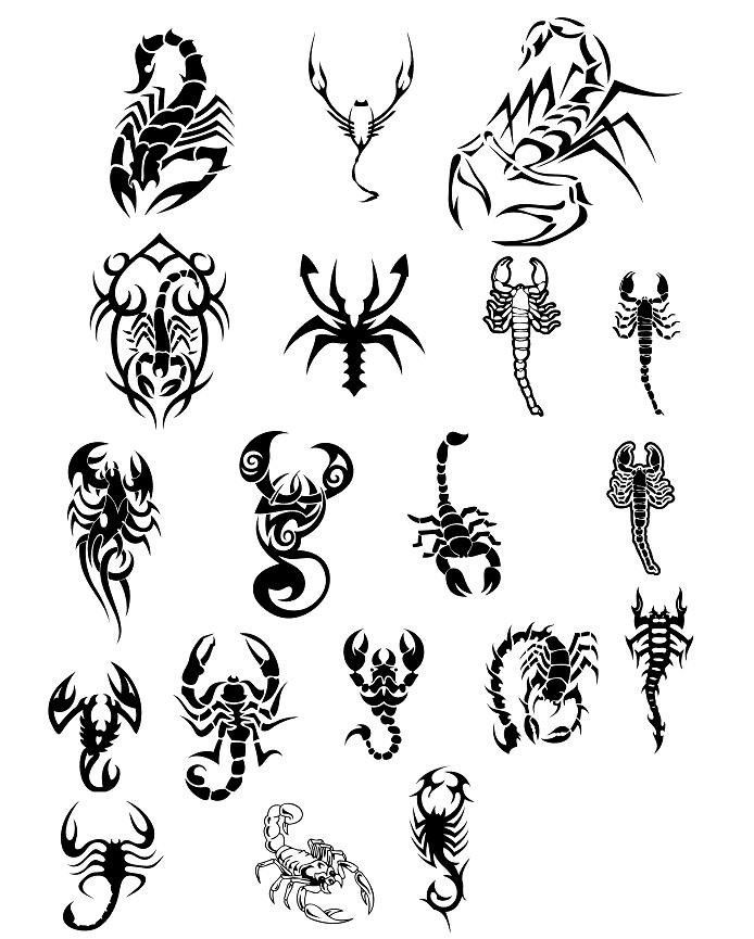 220 Scorpio Tattoo Designs 2023 Zodiac Symbol Horoscope Sign