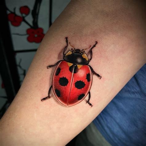 25 Lovely Ladybug Tattoo Ideas For Men Women In 2024