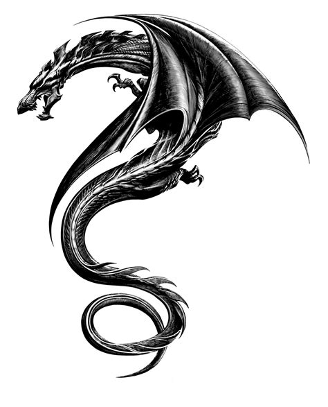 32 Dragon Tattoo Designs Tattoo Designs Design Trends Premium