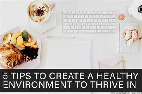 5 Tips To Create A Healthy Environment To Thrive In