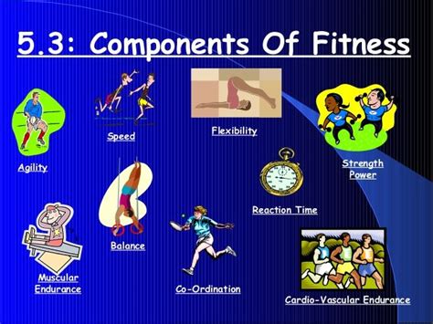 6 Four Selected Physical Fitness Components And Examples Of