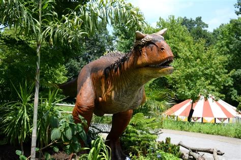 6 Reasons To Visit Pittsburgh Zoo Dinosaurs At The Zoo This Summer