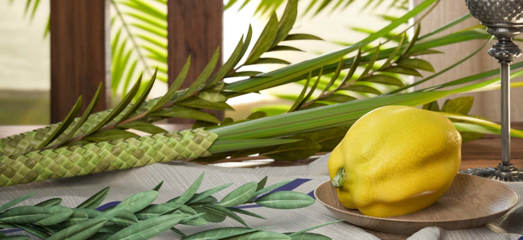 6 Ways To Make The Ultimate Sukkot Experience Today