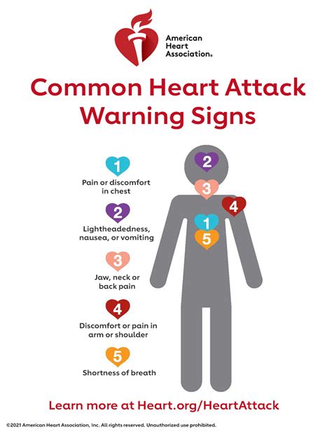 7 Symptoms Of A Heart Attack That Can Strike Exactly A Month Before News Com Au Australia S