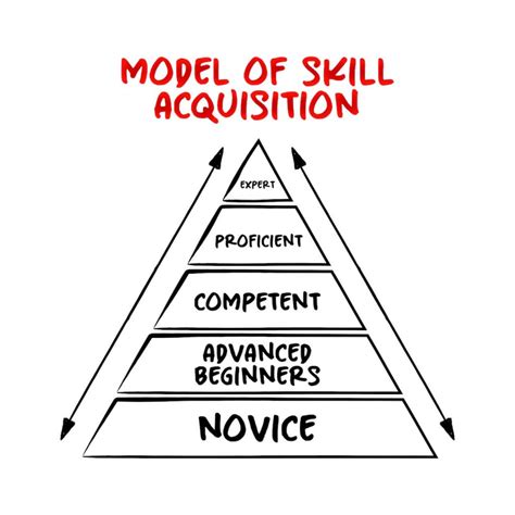 All You Need To Know About Dreyfus Model Of Skills Acquisition