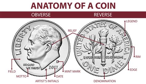 Anatomy Of A Coin Profile Coins Collectibles