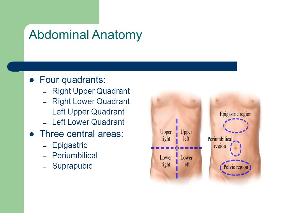 Approach To Periumbilical And Lower Abdominal Pain Clinical Sciences