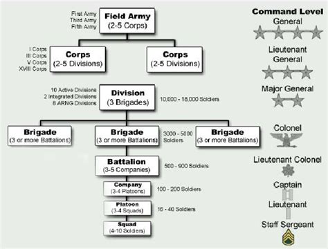 Armucation Ranks And Organization