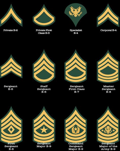 Army Army Insignia