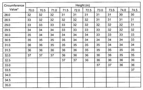 Army Body Fat Limits