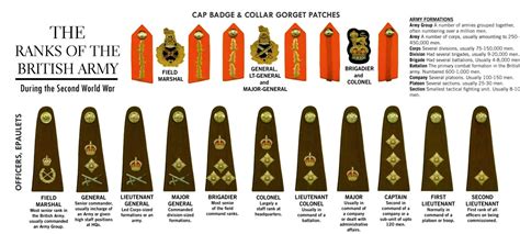 Army Officer Ranks Explained