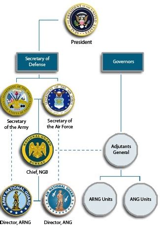 Army Reserves Vs National Guard