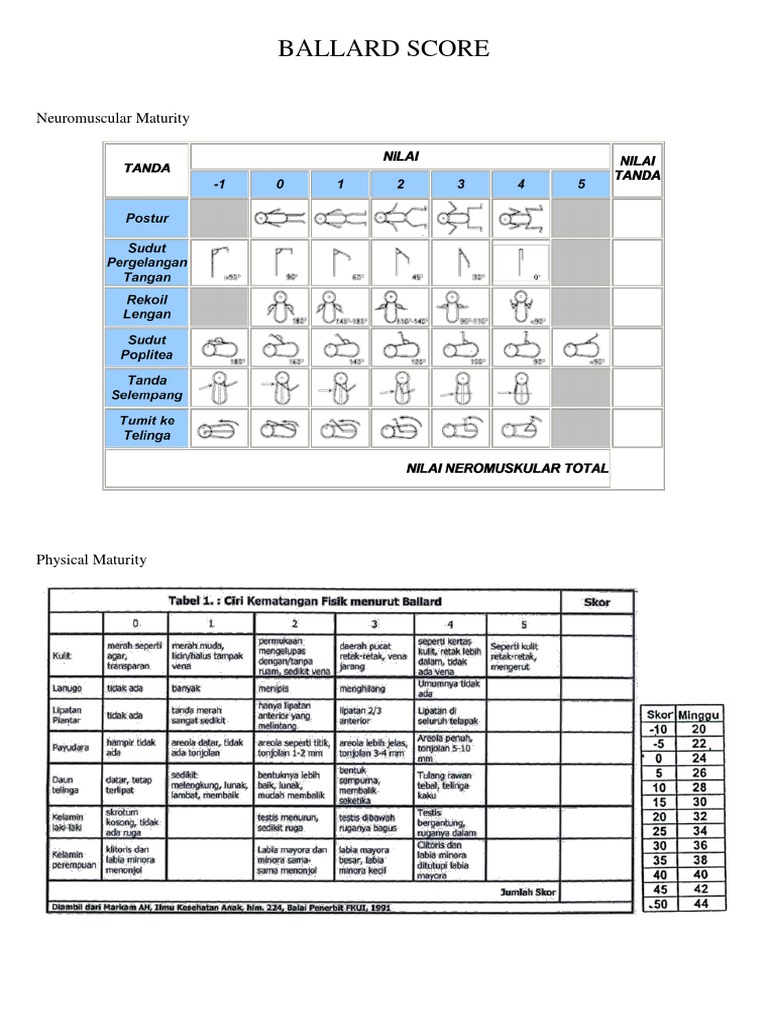 Ballard Score Part 1 Smarty Pants Pinterest Scores