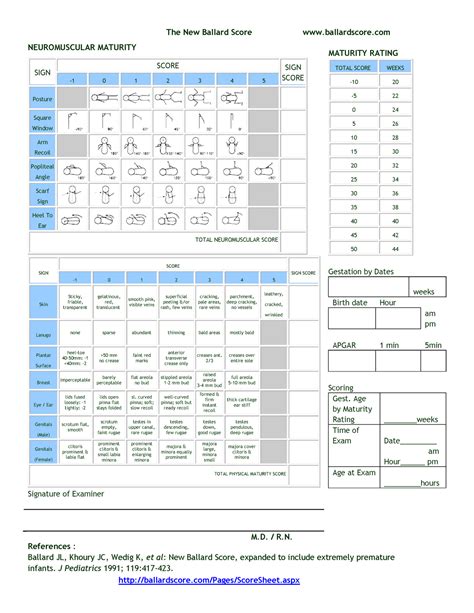 Ballard Score Scoresheet The New Ballard Score Ballardscore