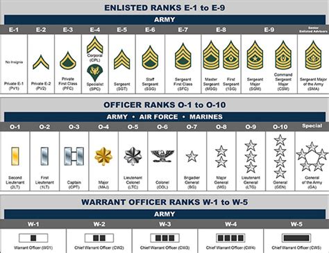 Basic Training Rank Structure