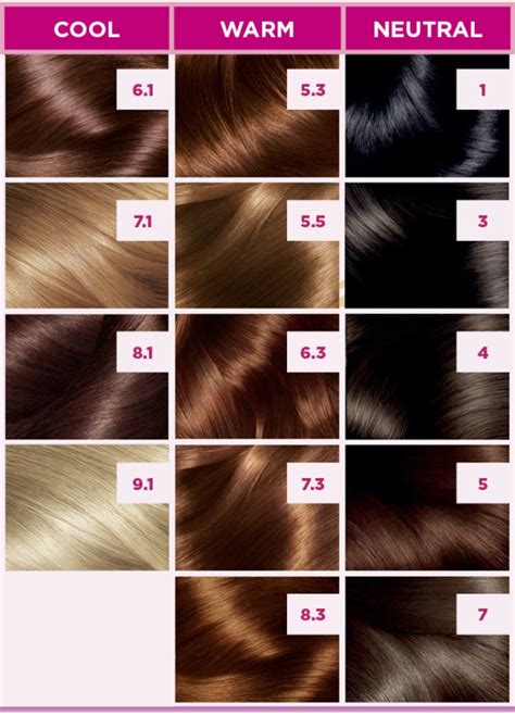 Best 20 Loreal Hair Color Chart Ideas On Pinterest Loreal Hair Color Chart 2016 Loreal Hair