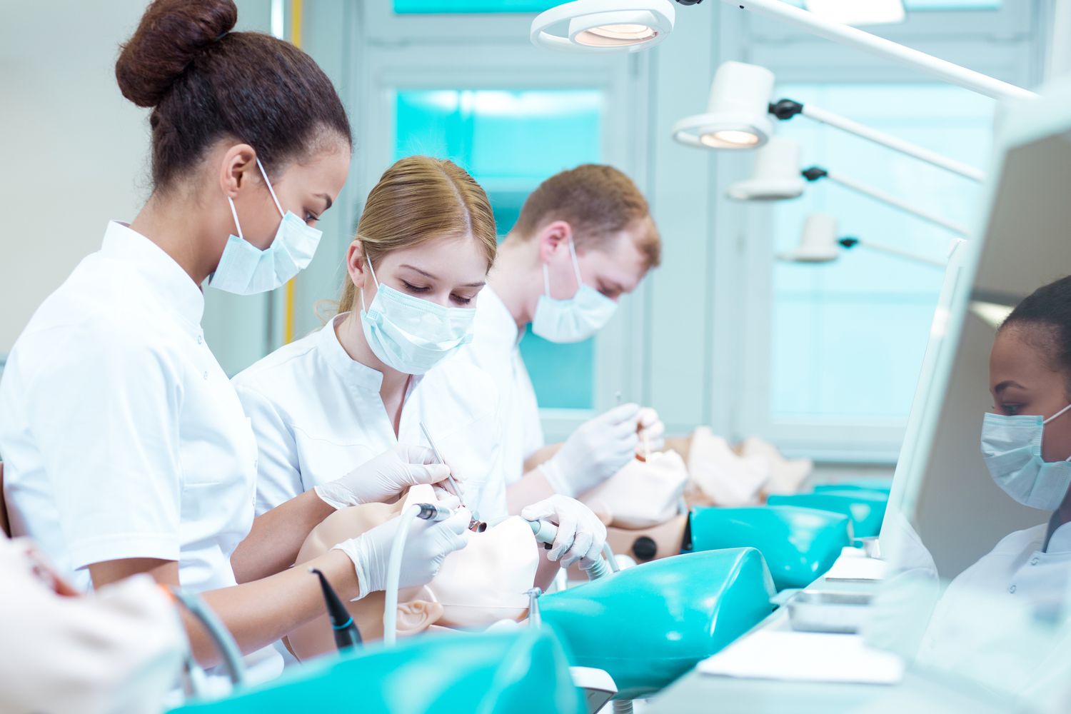 Best Dental Schools In The U S