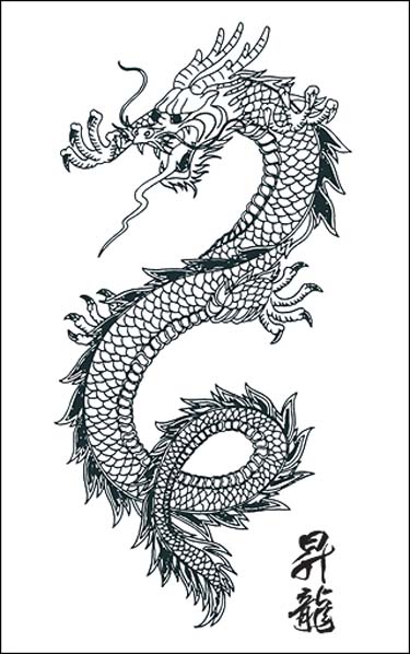 Best Dragon Tattoo Stencils