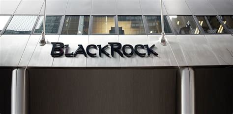 Blackrock Is The Canary In The Coalmine Its Decision To Dump Coal Signals What S Next