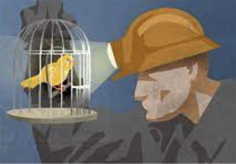 Canary In The Coal Mine The Early Warning Signals In Politics By David Reel Centreville Spy