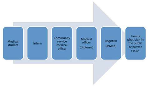 Career Pathway For The Family Physician Download Scientific Diagram