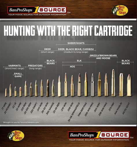 Chart Of Rifle Caliber Sizes Chart Calibers Hunting Ammo Gam