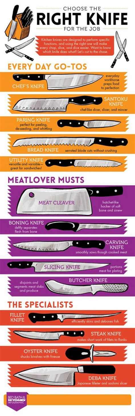 Choosing The Right Knife Infographic Best Infographics