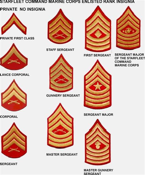 Collegiate School Ranking How To Rank Up In The Marine Corps