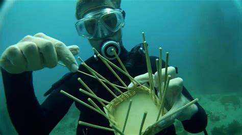 Competitive Deep Sea Underwater Basket Weaving Underwater Basket Weaving