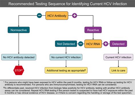 Core Concepts Hepatitis C Diagnostic Testing Screening And