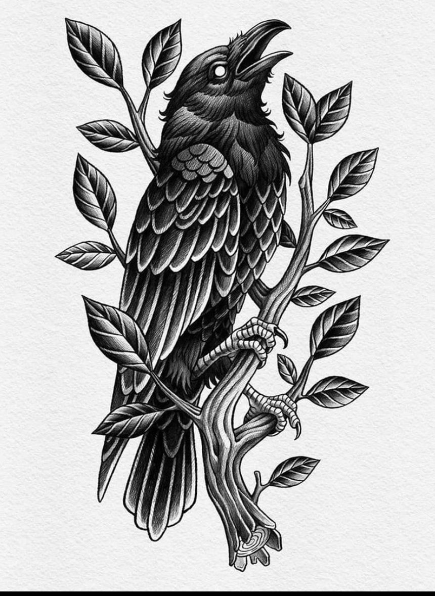 Crow Tattoo Design Artofit