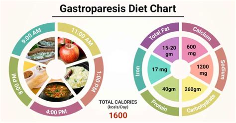 Diet Chart For Gastroparesis Patient Gastroparesis Diet Chart Lybrate