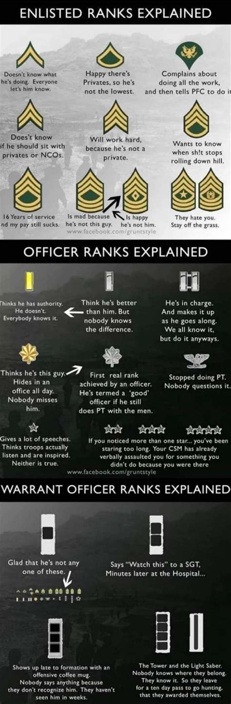 Difference Between Enlisted And Officer Stlrety