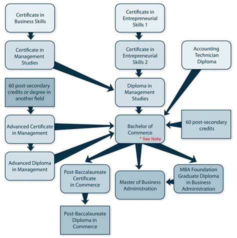 Different Types Of Career Pathways In Business Administration Businesser