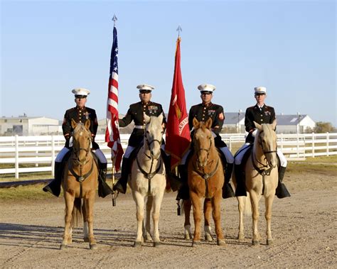 Dvids Images United States Marine Corps Mounted Color Guard Official Portrait Image 1 Of 2