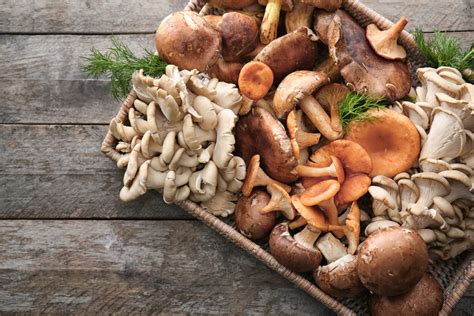 Edible Mushrooms Pictures