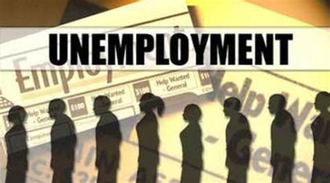 Employment Exchange In Noida Id 8415852888