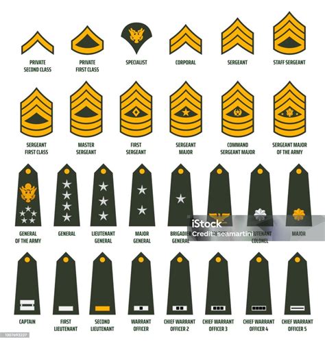 Enlisted Army Ranks Army Enlisted Rank Insignia Stock Vector