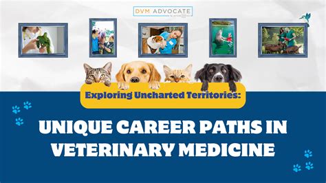 Exploring Uncharted Territories Unique Career Paths In Veterinary