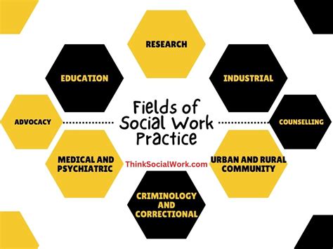 Fields Of Social Work School