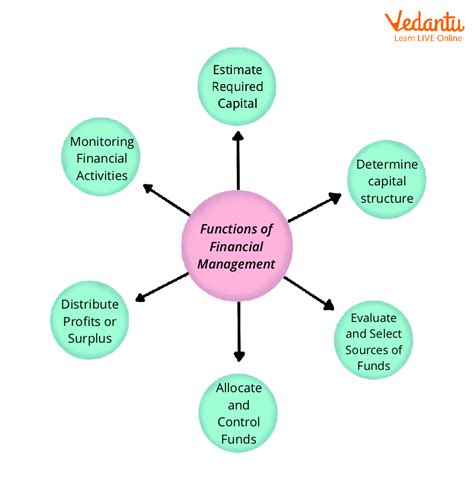 Financial Management Key Roles