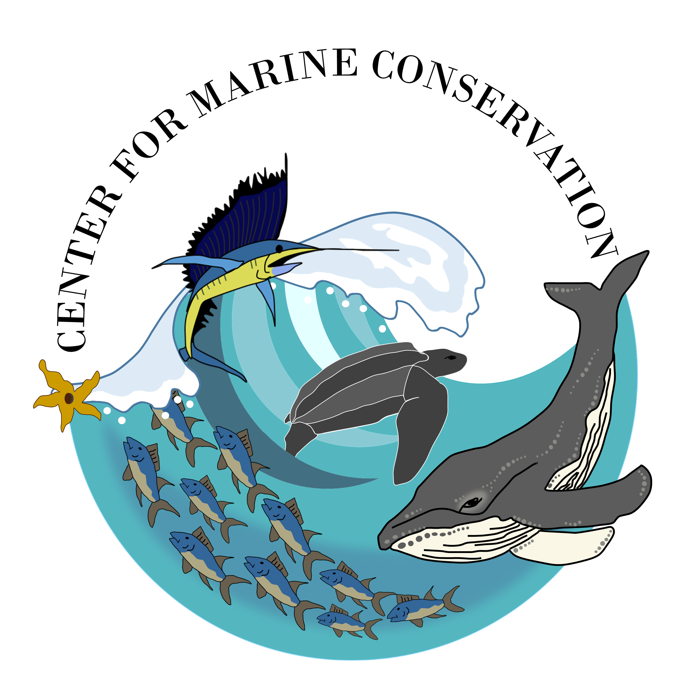 Find Out What Marine Conservation Is